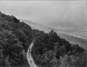 Wanderweg : Blick auf einen Wanderweg an einem bewaldeten Berghang