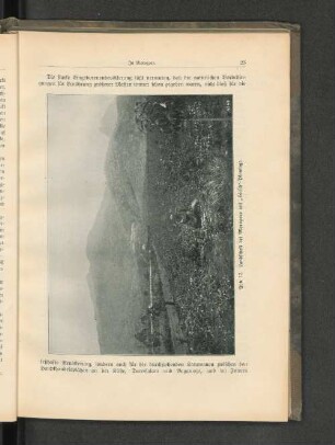 Abb. 12. Landschaft bei Morogoro mit " Hirsch"-Plantage.