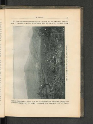 Abb. 12. Landschaft bei Morogoro mit " Hirsch"-Plantage.