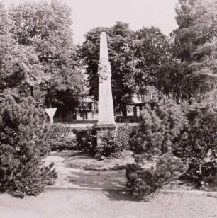 Distanzsäule : Berggießhübel