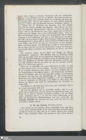 45. Die echte Kastanie (Castanea sativa)