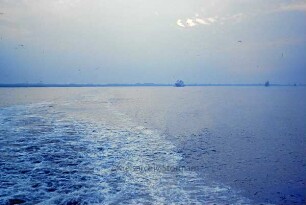 Elbe
