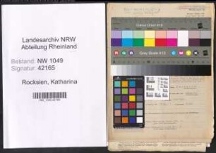 Entnazifizierung Katharina Rocksien , geb. 07.10.1909 (Kaufmaennische Angestellte)