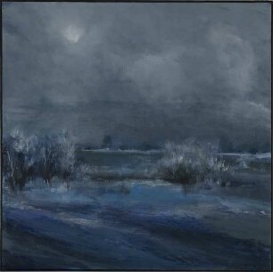 Auenlandschaft im Winter
