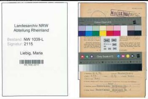 Entnazifizierung Maria Liebig , geb. 21.04.1895 (Postbeamtin)