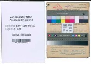 Entnazifizierung Elisabeth Booss , geb. 10.01.1889 (Studienraetin)
