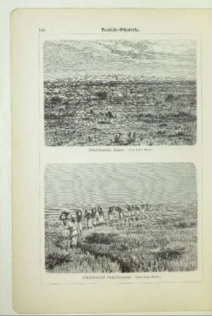 Ostafrikanische Steppe
