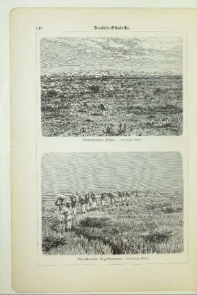 Ostafrikanische Steppe