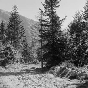 Landschaft um Rila-Gebirge ein Gebirge im Südwesten Bulgariens