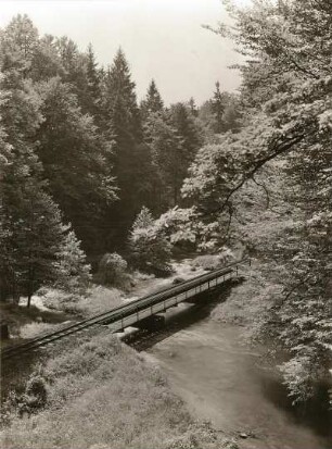 Rabenauer Grund, Tal der Roten Weißeritz. Am Predigerstuhl mit Eisenbahnbrücke (Bahn Hainsberg - östliches Erzgebirge). Blick aufwärts
