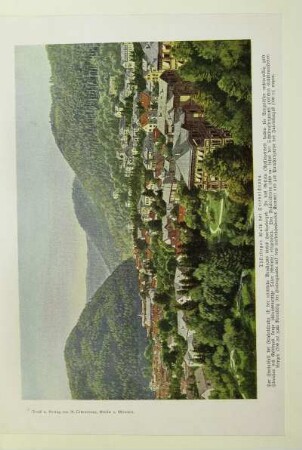 Thüringer Wald bei Friedrichroda