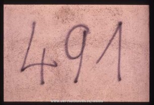 491