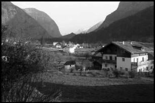 Oetz: Ötztal, Vordergrund blühende Forsythien