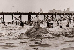 Der Schwimmer