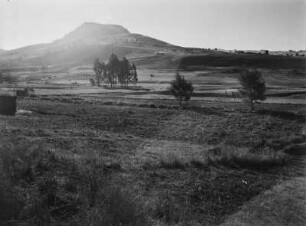 Landwirtschaftliche Anbaufläche : Landwirtschaftliche Anbauflächen in der hügeligen Landschaft des südafrikanischen Tafellandes