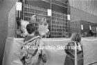 Rassegeflügelzuchtverein (RGZV) Reinfeld: Sporthalle des Reinfelder Schulzentrums: 31. Kreisverbandsschau: Käfige mit Rassetieren: davor zwei Kinder: 09./10. Januar 1993