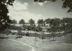 Bannewitz-Goppeln. Gebergrund. Alter Weinberg, jetzt Beeren- und Obstgarten