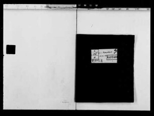 Briefe an Landgraf Christian von Oberappellationsrat F[riedrich] W[ilhelm Freiherr] v. Nettelbladt