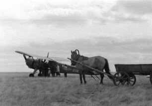 Flugzeug, Passagiere und Pferdekutsche auf einem Flugfeld