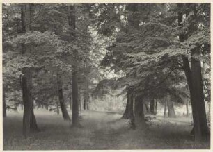 Landschaftsgarten, Machern (Kreis Wurzen)