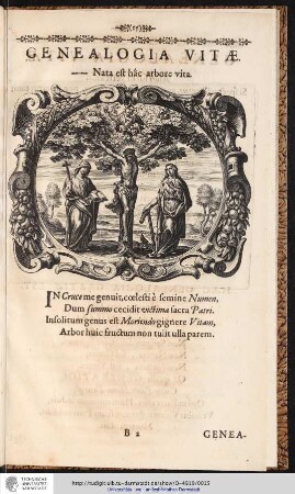 GENEALOGIA VITAE.