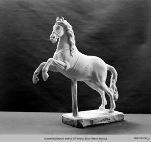 Springendes Pferd - Cavallo che posa le gambe in dietro