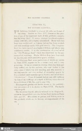 Chapter VI. The Salisbury Goldfield