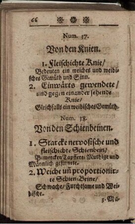 Num.38. Von den Schienbeinen.