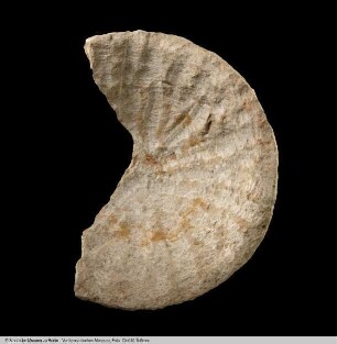 Fragment einer Schale