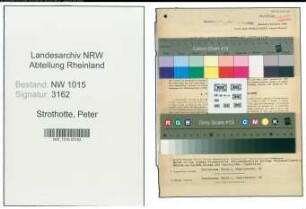 Entnazifizierung Peter Strothotte , geb. 17.05.1898 (Stadtinspektor)