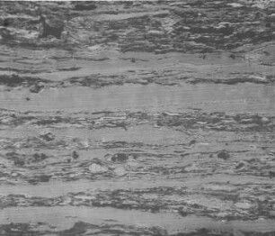 Typische Streifenkohle (Jeffrey) : Geologie | Kohlengeologie | Das mikroskopische Bild der Kohle (Mikroskopische Kohlenpetrographie)