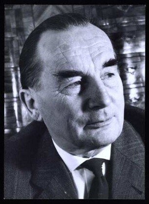 Schott, Erich
