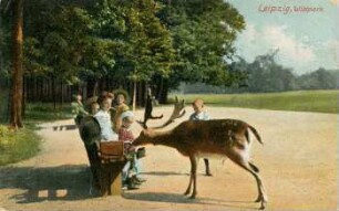 Leipzig: Wildpark