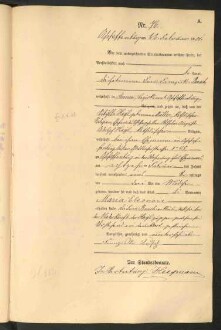 Standesamtsbuch der Stadt Aschaffenburg: Geburten 365/1900 - 184/1901