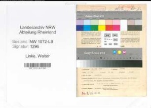 Entnazifizierung Walter Linke , geb. 01.05.1908 (Buchhalter)