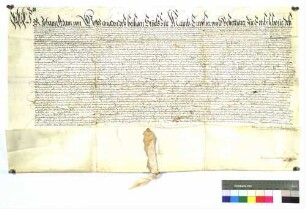 Erzbischof Johann Adam zu Mainz erteilt dem Albrecht von Liebenstein ein Mannlehen zu Bönnigheim.