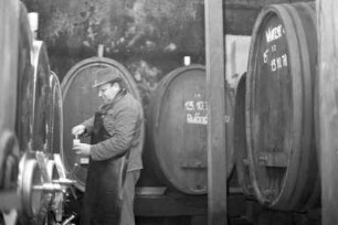 Staatliche Rebveredelungsanstalt Durlach. Weinlese und Weinherstellung