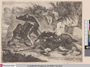 [Zwei Hunde; Two Dogs]