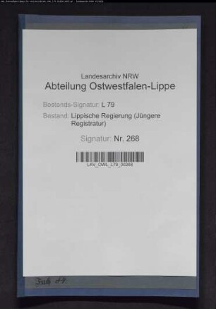 Vorlagenentwürfe des fürstlichen Konsistoriums für die Landessynode