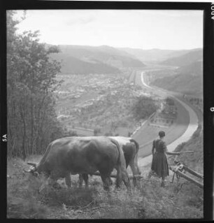 Landwirtschaft im Schwarzwald