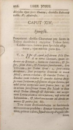 Caput XIV. Synopsis.