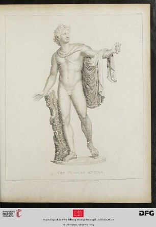 Plate 26 The Vatican Apollo