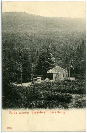 Bärenfels. Landschaft zwischen Bärenfels und Bärenburg