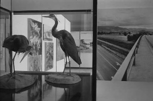 Ausstellung "Naturschutz - Schutz unserer Umwelt" im Landesgewerbeamt