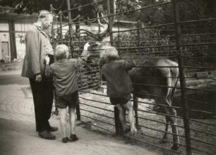 Dresden. Im Zoologischen Garten