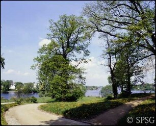 Potsdam, Park Babelsberg, Blick vom Uferweg zu den Häusern am Glienickerhorn.