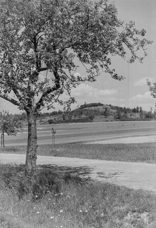 Wiese mit Hügel : Landschaft in der Oberlausitz. Steinbruch Baruth