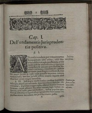 Cap. I. De Fundamentis Jurisprudentiae positivae.