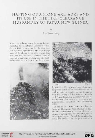 Hafting of a stone axe-adze and its use in the fire-clearance husbandry of Papua New Guinea