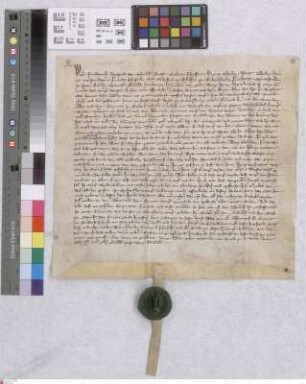 Biebesheim: Der Gemeinde Biebesheim Versatzbrief über das halbe Teil der gemeinen Weide zu Biebesheim an das Kloster Eberbach und Niklas v. Wolvis...